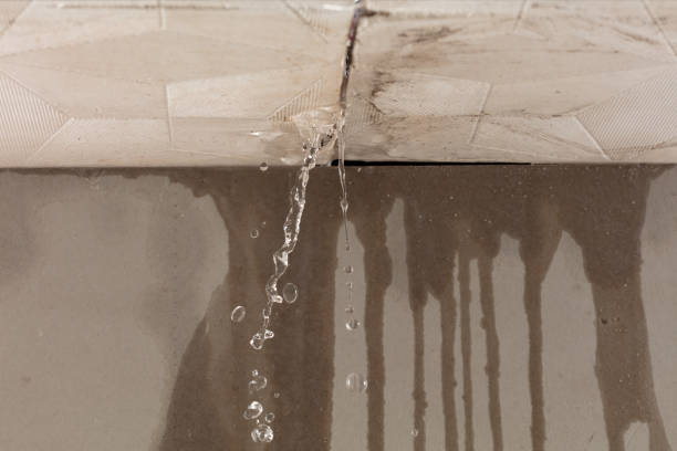 Professional Structural Drying technician working in Watchung, NJ